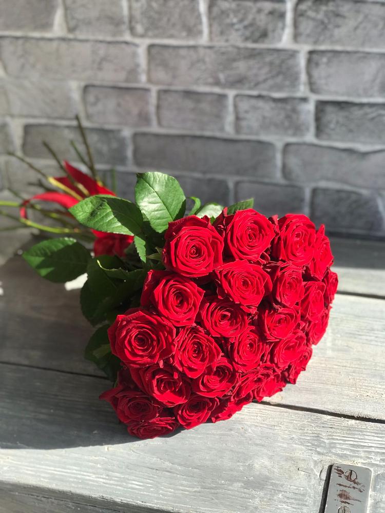 Букет Красные розы Фридом в Сосны