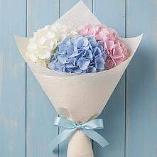 Букет цветов из:  Гортензия #REPLACE_PRED# Сосны