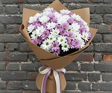 Букет цветов из:  Хризантемы #REPLACE_PRED# Сосны