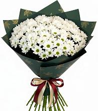 Букет цветов из:  Хризантемы в Сосны